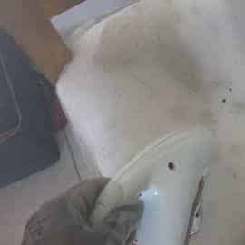 Désinsectisation professionnelle Cambrai