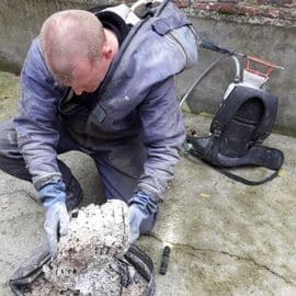 Désinsectisation maison Lille