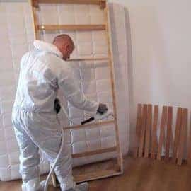 Traitement extermination punaises de lit