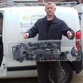 http://www.action-nuisible.fr/entreprise-traitement-des-nuisibles-nord-pas-de-calais-818