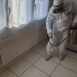 Entreprise traitement professioonnel anti-puces