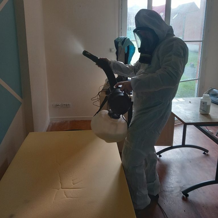 Se débarrasser de cafards Arras