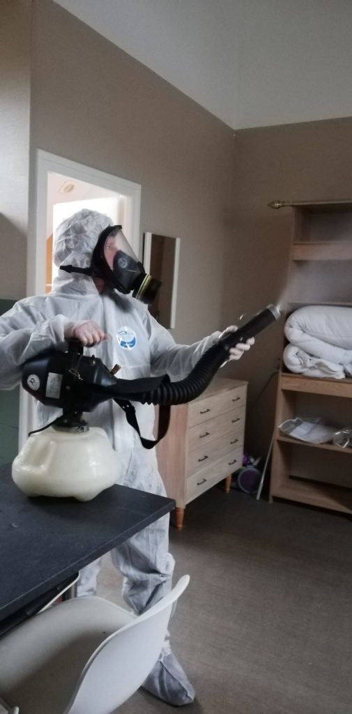 Désinsectisation cafards à Denain