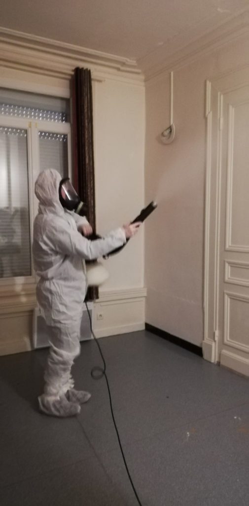 Extermination de cafards à Orchies