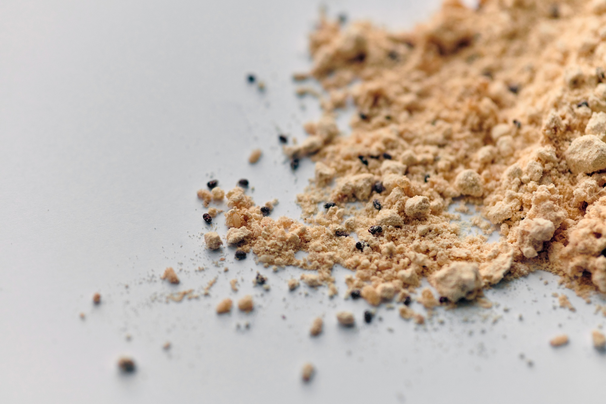 Flour beetles in baking flour